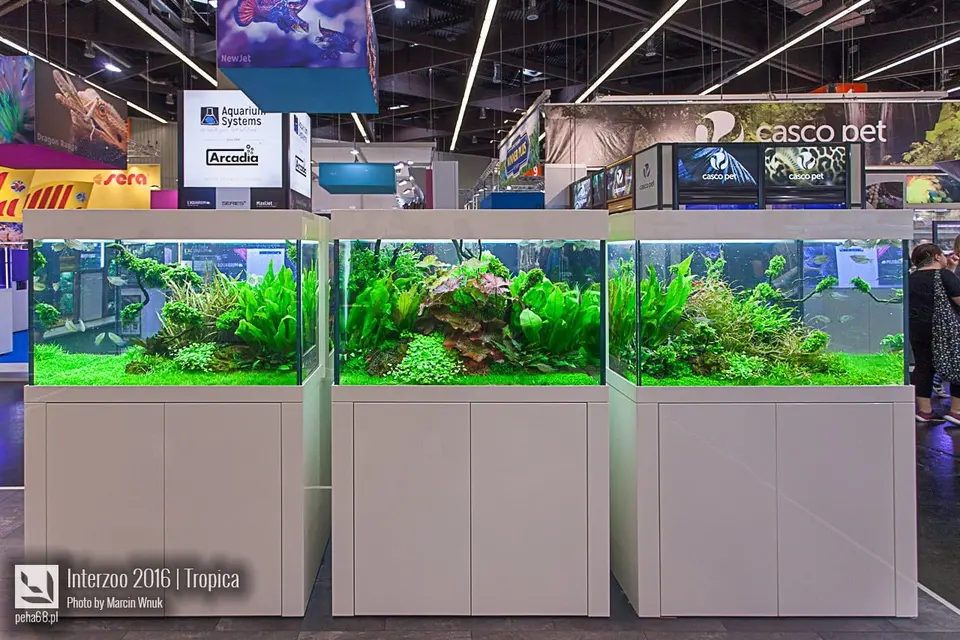 Tropica - Interzoo 2016