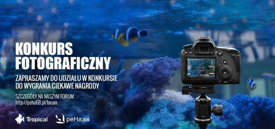 Konkurs fotograficzny