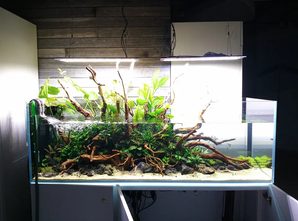150x50x50cm 375L