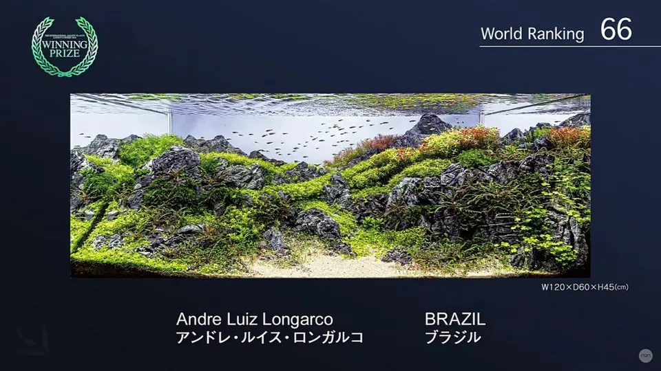 iaplc-2016-066