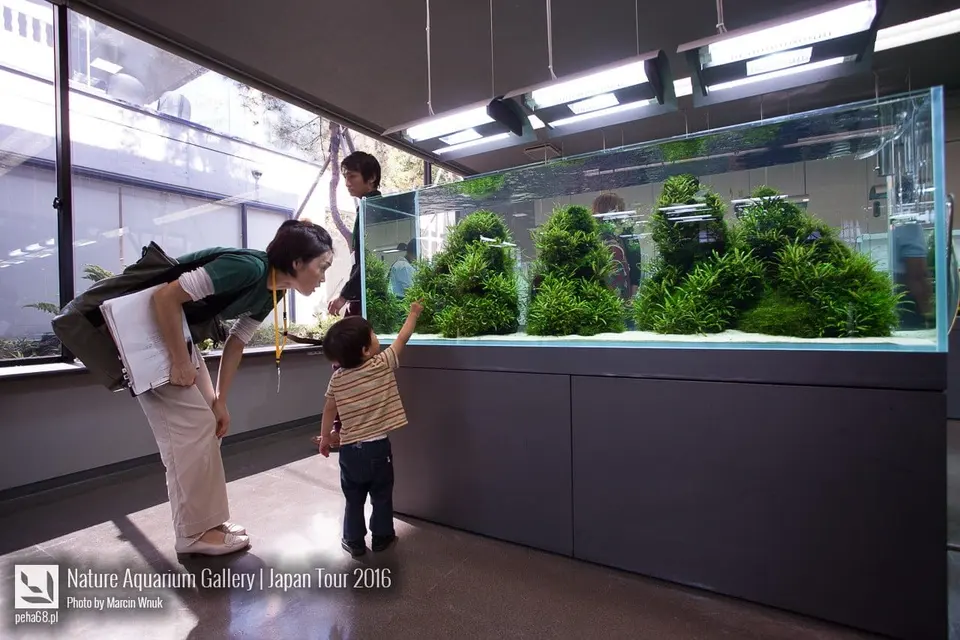 Nature Aquarium Gallery - Japan Tour 2016