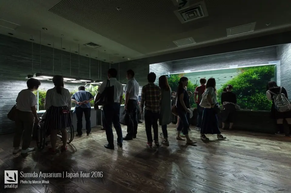 sumida-aquarium-001