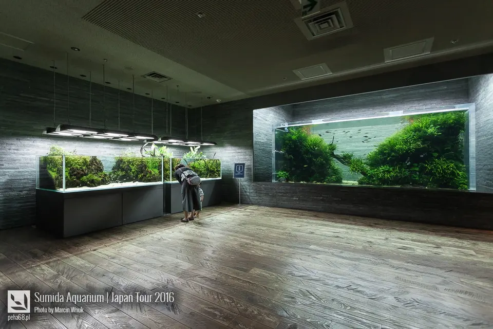 Sumida Aquarium - film