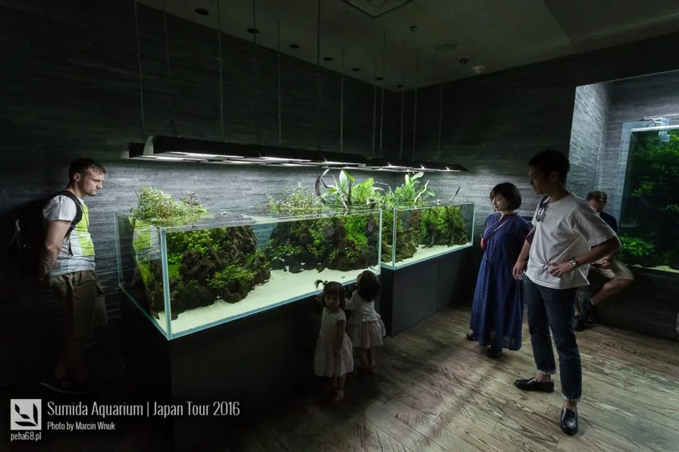 sumida-aquarium-003