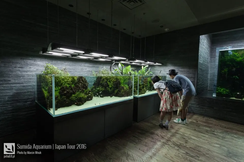 sumida-aquarium-004