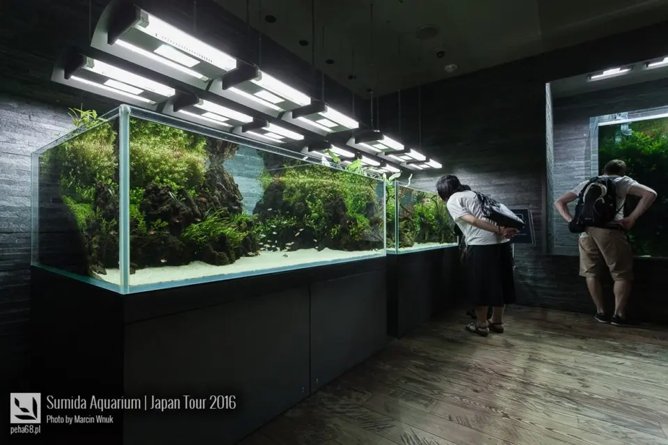 sumida-aquarium-005