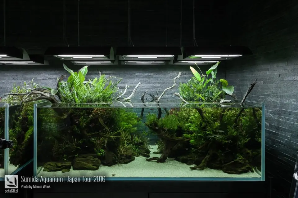 sumida-aquarium-010