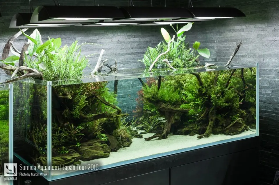 sumida-aquarium-025