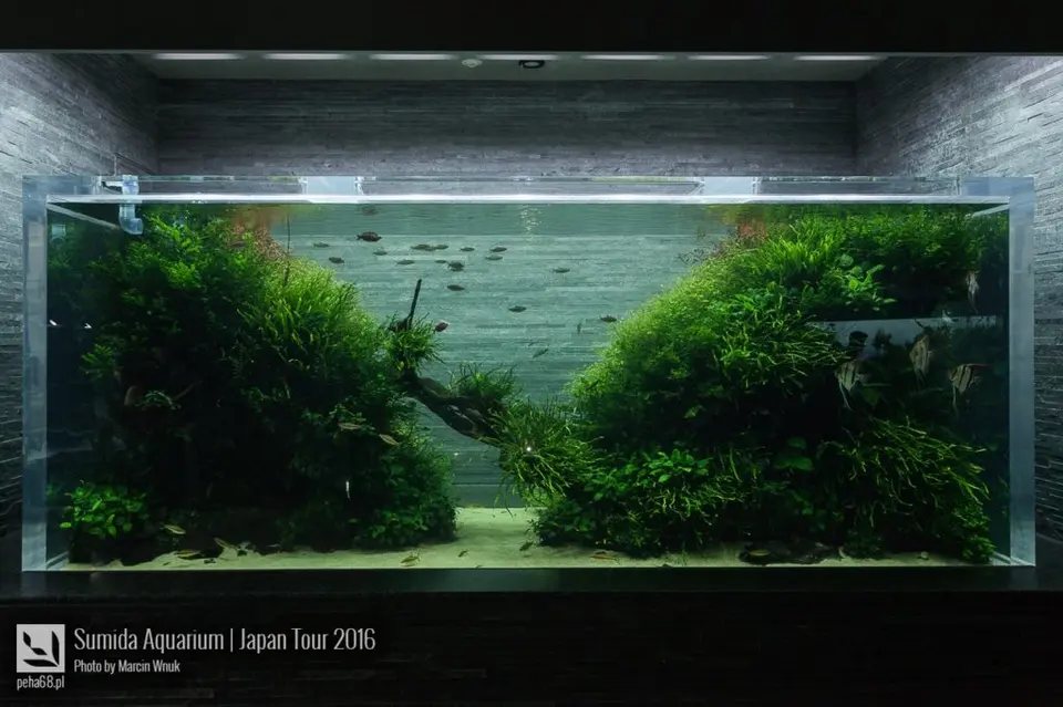 sumida-aquarium-026