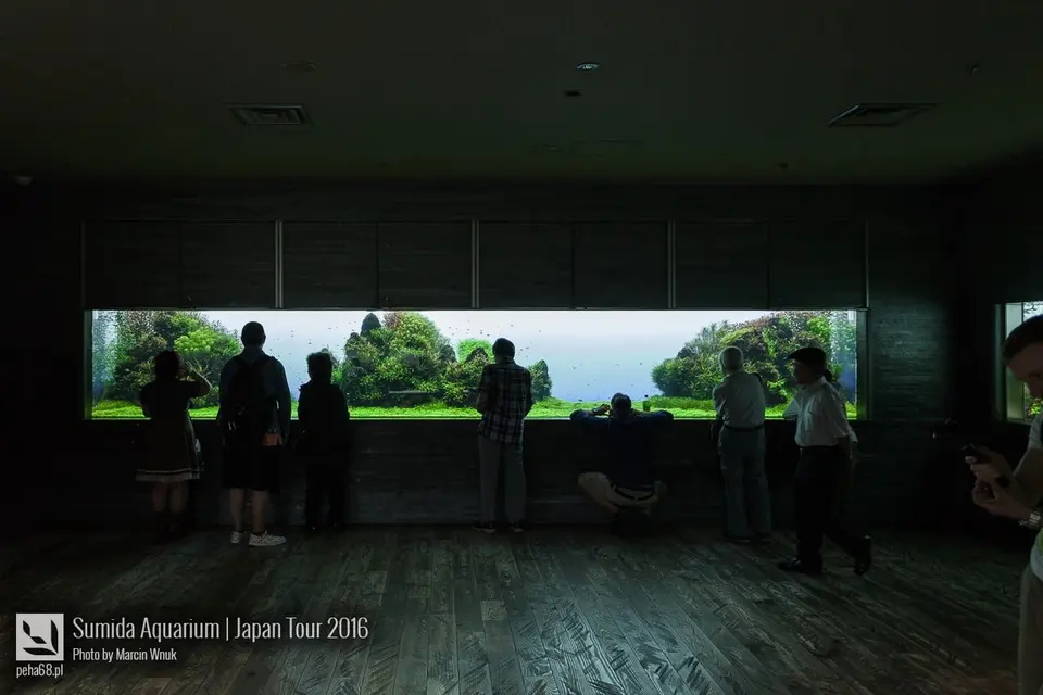 Sumida Aquarium