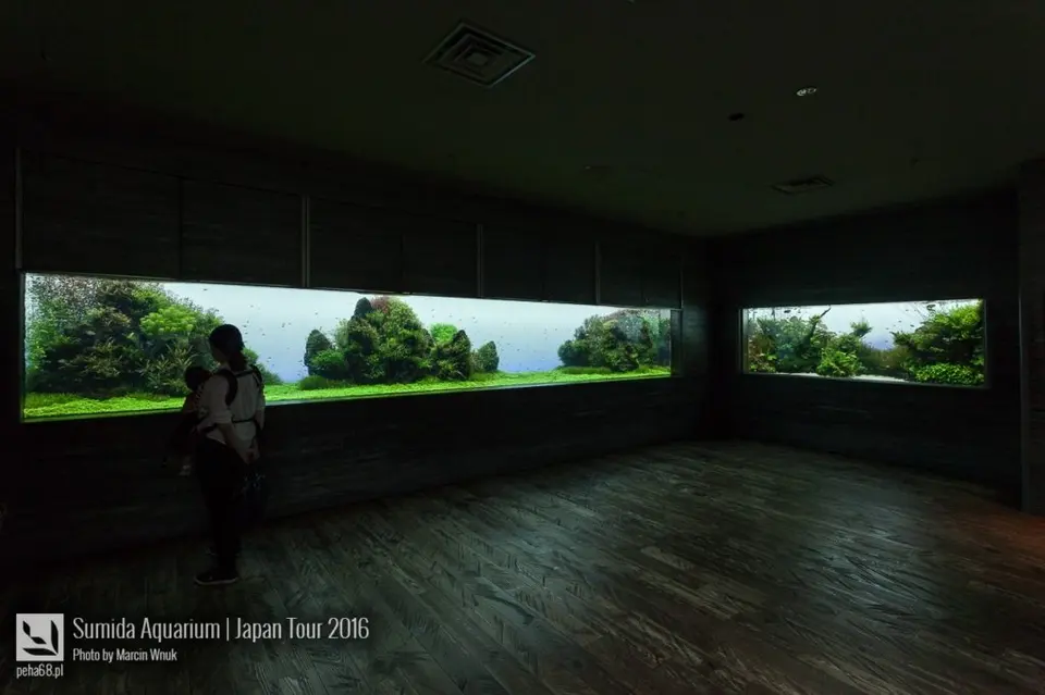 sumida-aquarium-034