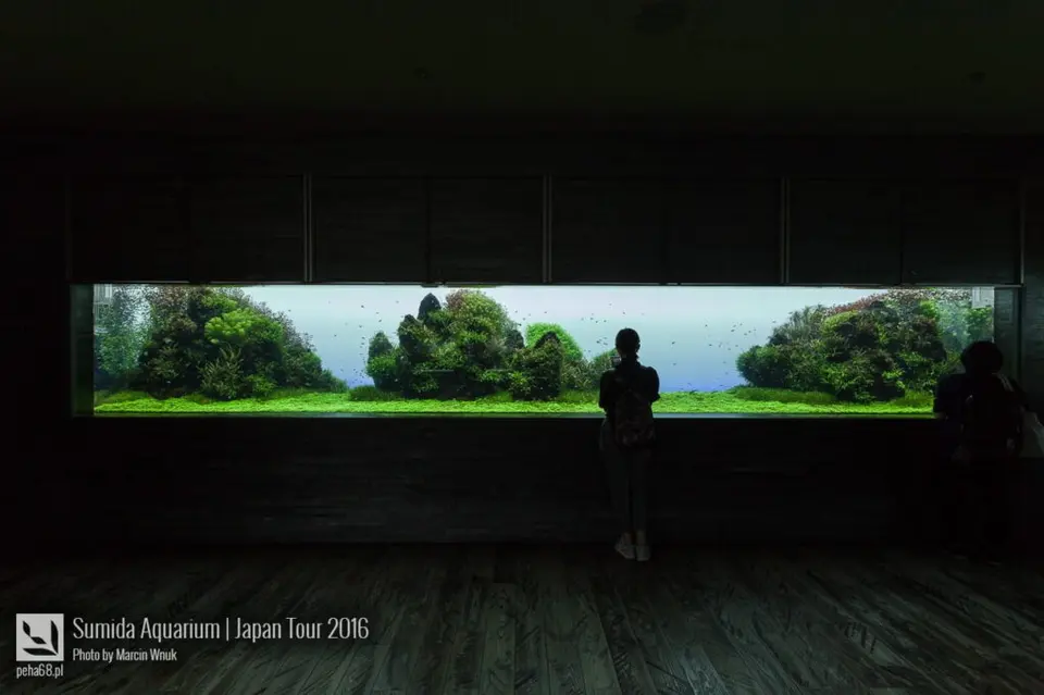 sumida-aquarium-027a