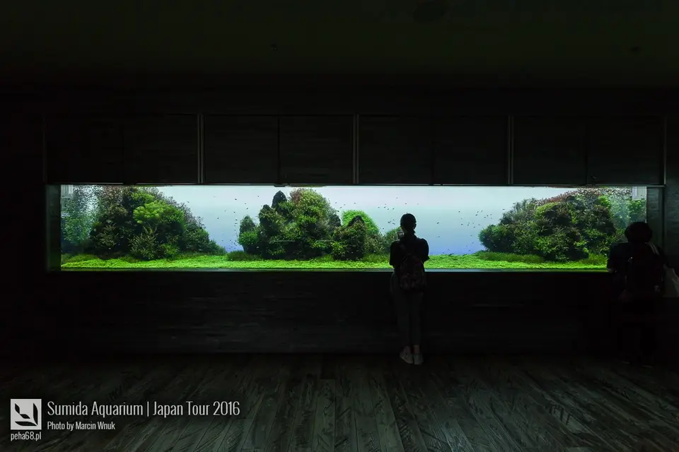 Sumida Aquarium - Japan Tour 2016
