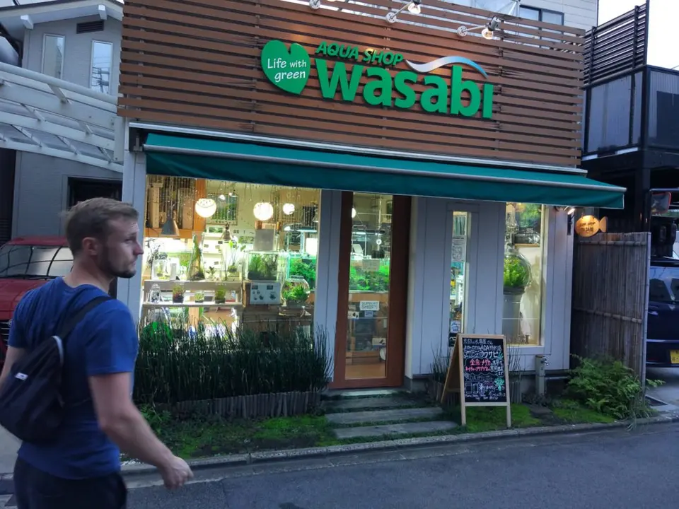 Aqua Shop Wasabi - Kioto