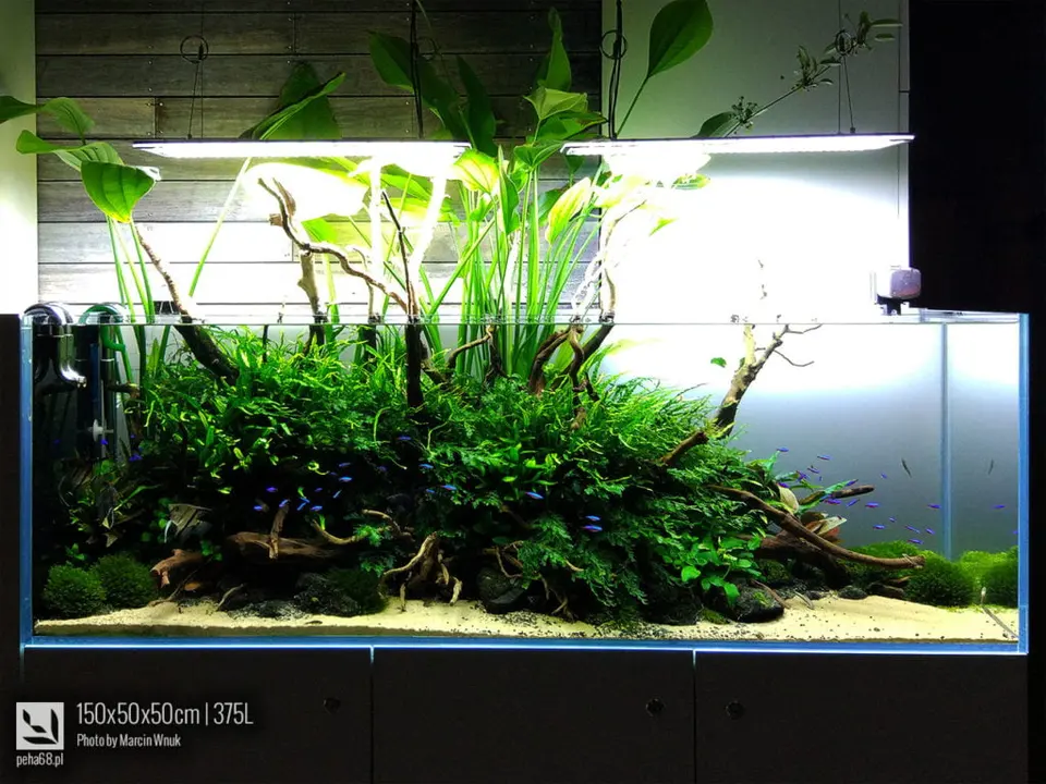 150x50x50cm