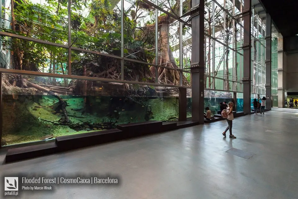 Flooded Forest - Barcelona