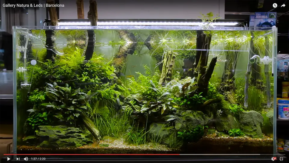 Barcelona Gallery Natura and LEDs
