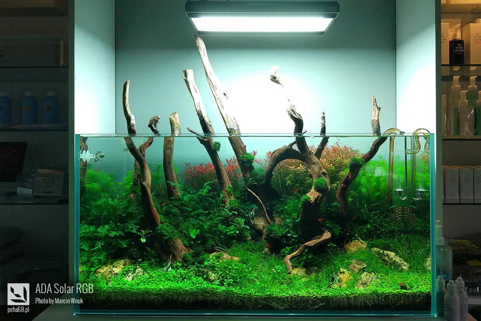 ADA Solar RGB