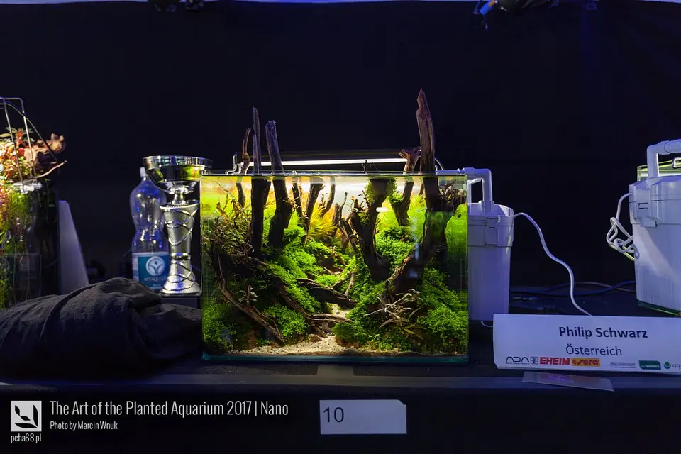 The Art of the Planted Aquarium 2017 - Nano