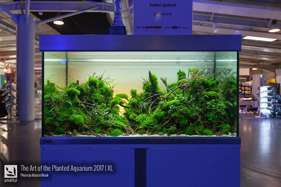 The Art of the Planted Aquarium 2017 – XL