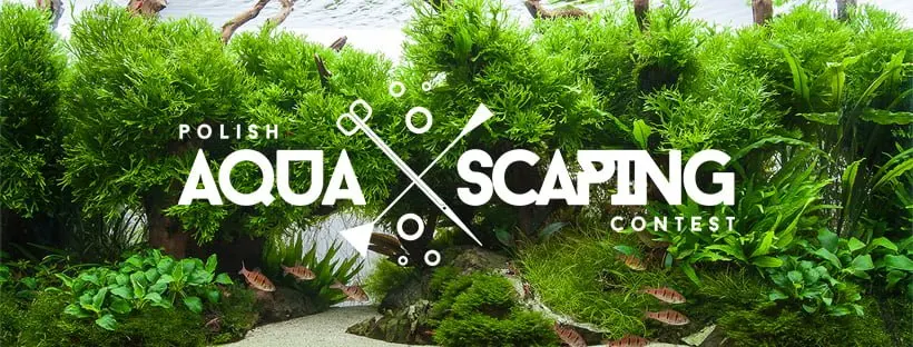 Polish Aquascaping Contest
