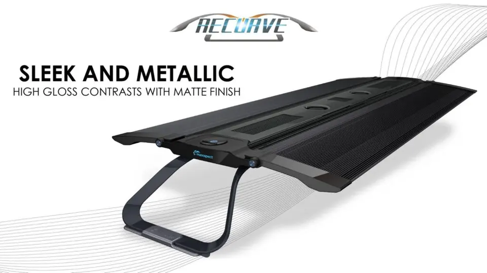 Maxspect Recurve