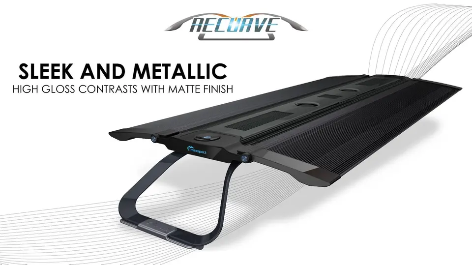 Maxspect Recurve