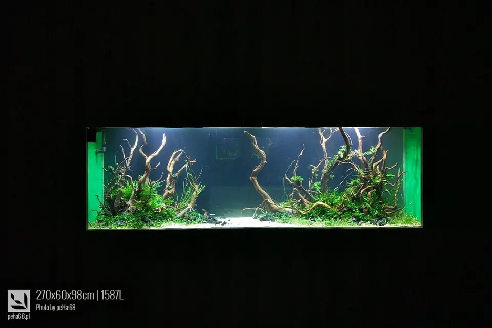 270x60x98cm - 1587L