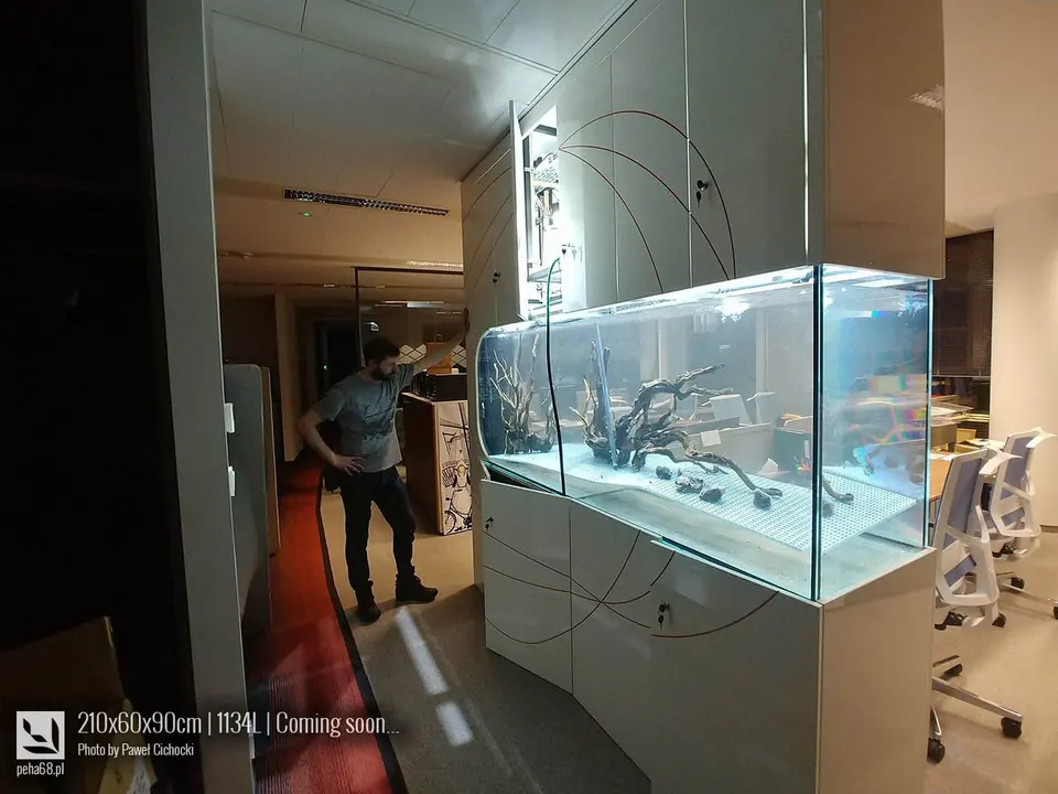 Zakładamy dwa akwaria 1134L