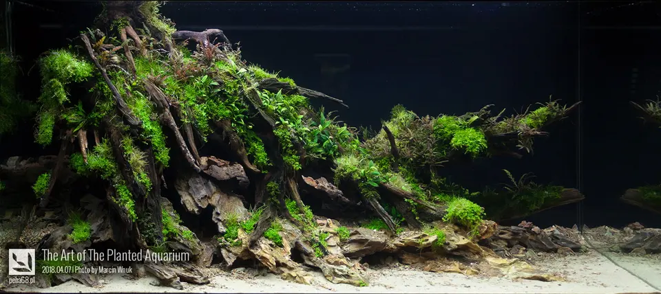 The Art of The Planted Aquarium 2018 XL