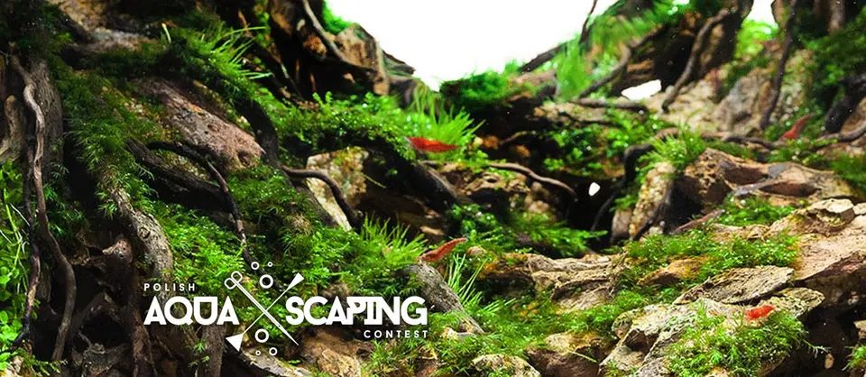 Polish Aquascaping Contest 2020