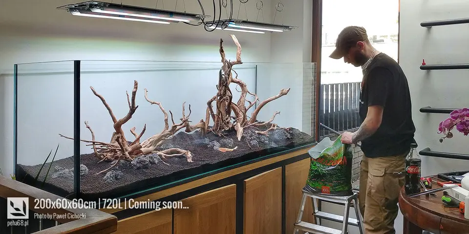 ADA Amazonia
