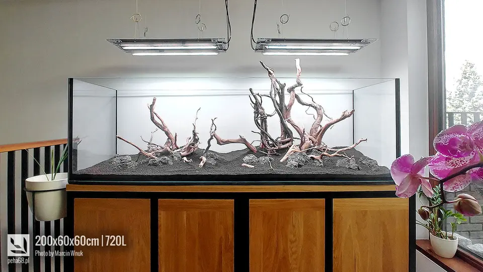 Hardscape