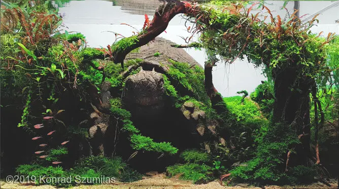 AGA 2019: „The NeverEnding Story - MORLA” – Konrad Szumilas