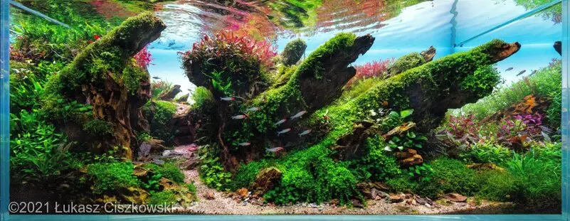 AGA 2021: „Dragon's mirror” – Łukasz Ciszkowski