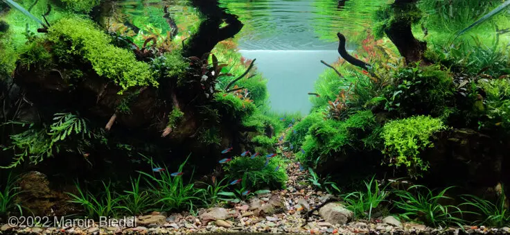 AGA 2022: „The Riverbed - origin of the forest stream” – Marcin Biedal
