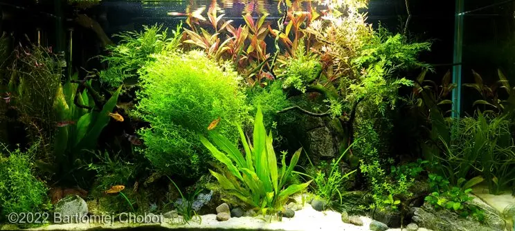 AGA 2022: „Little Oasis” – Bartłomiej Chobot