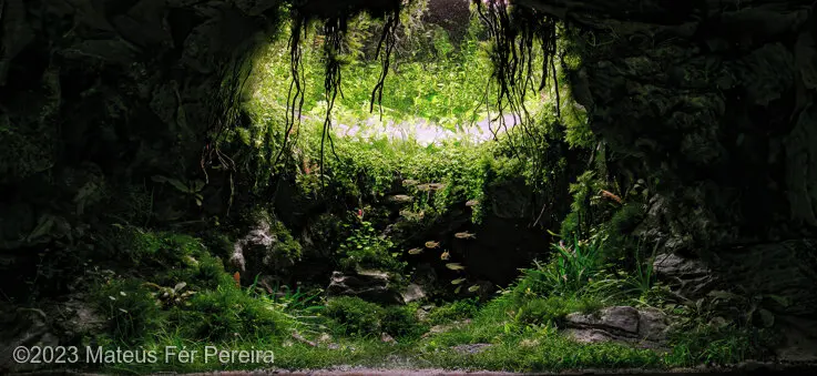 AGA 2023, zwycięzca: Aquatic Garden (akwarium roślinne) 80–162L – Mateus Fér Pereira