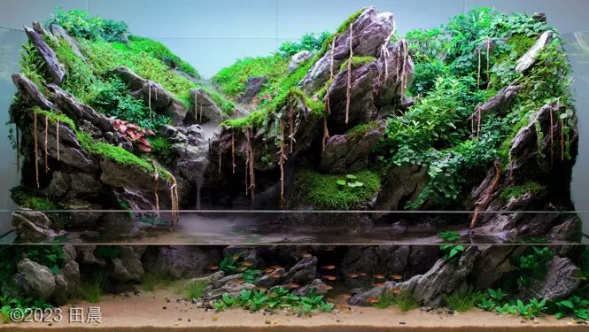 AGA 2023, zwycięzca: Paludarium – 田晨
