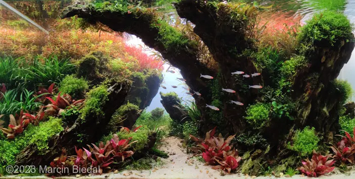 AGA 2023: „Entry of the Gods Into Valhalla” – Marcin Biedal