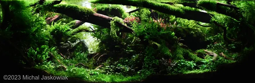 AGA 2023: „Neverland” – Michal Jaskowiak