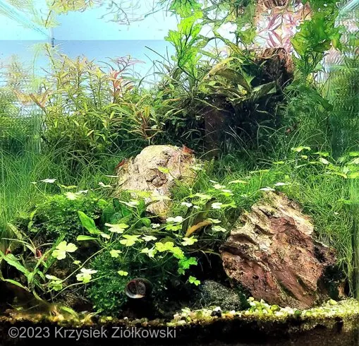 AGA 2023: „Small Mountain” – Krzysiek Ziółkowski