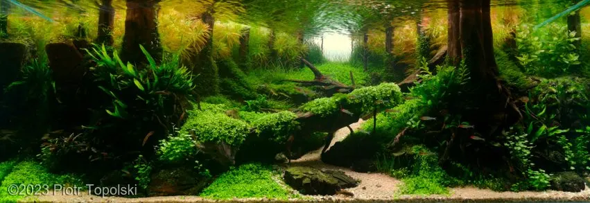 AGA 2023: „Gorge” – Piotr Topolski