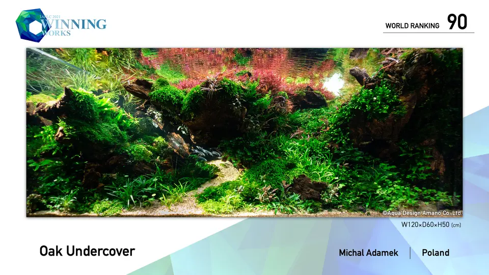 IAPLC 2021, 90. miejsce – Michal Adamek