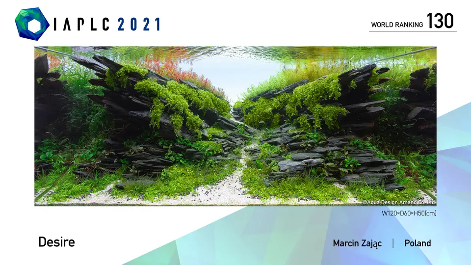 IAPLC 2021, 130. miejsce – Marcin Zając