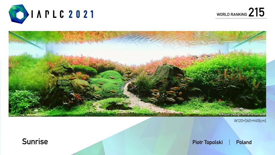 IAPLC 2021, 215. miejsce – Piotr Topolski