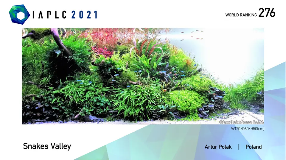IAPLC 2021, 276. miejsce – Artur Polak