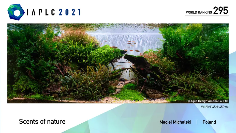 IAPLC 2021, 295. miejsce – Maciej Michalski
