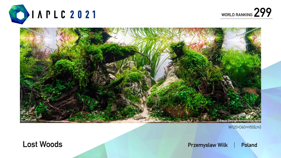 IAPLC 2021, 299. miejsce – Przemyslaw Wilk