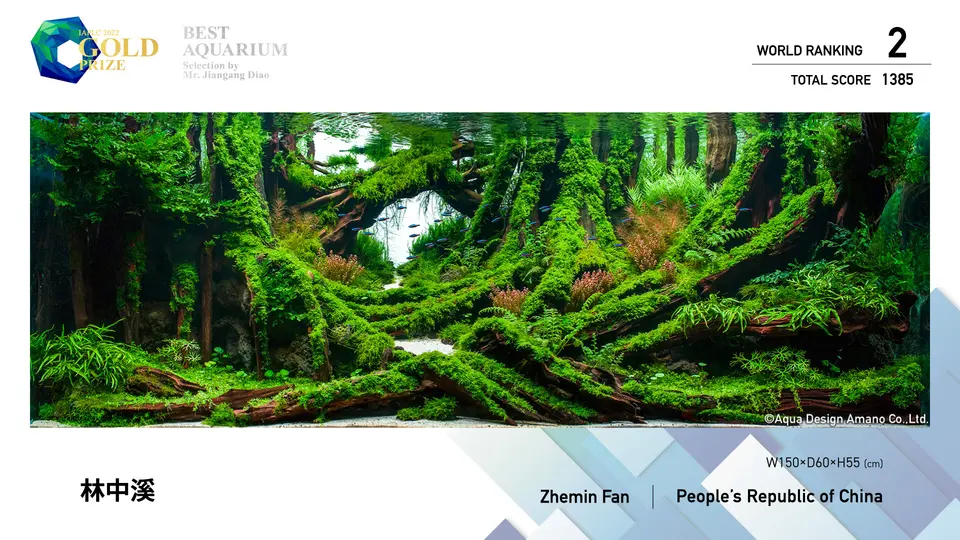 IAPLC 2022, 2. miejsce – Zhemin Fan (Chiny)